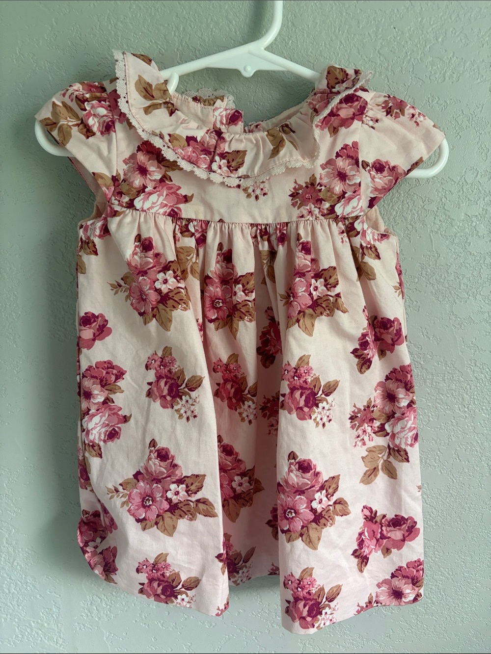 Janie and Jack Girls Floral Ruffle Collar Dress - Pink & Rose